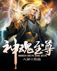 神魂至尊等级介绍