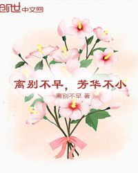 芳华不小是什么歌