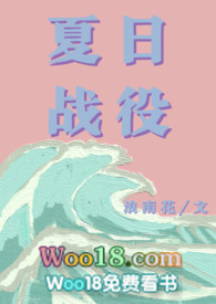 夏日战役小说