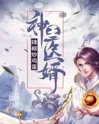 神王医婿 小说