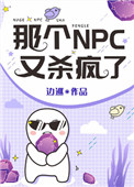 那个npc又杀疯了笔趣阁