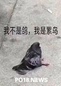 (人外)论活化石的新生活