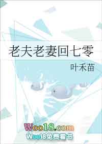 老夫老妻回七零格格党下载