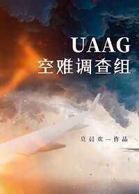 uaag空难调查组小说