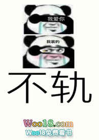 不轨NP