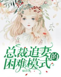 总裁追妻有方法