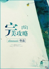 综完美攻略slinnani