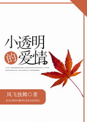 小透明的爱情全文免费