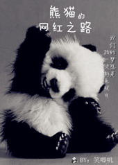 网红熊猫名字