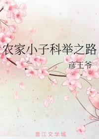 农家小子科举之路彦王爷免费读