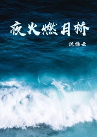 夜火燃月桥 沈揉云