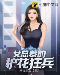 女总裁的护花使者