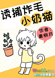 诱捕炸毛小奶猫小说免费