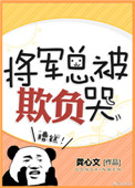 将军总被欺负哭作者