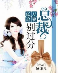 亿万总裁追前妻