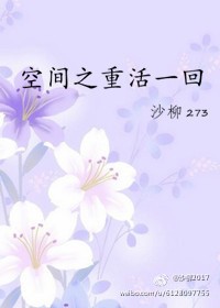 空间之重活一回 小说