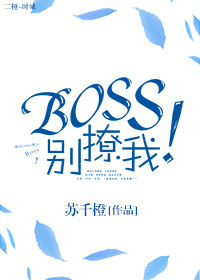 boss别追我