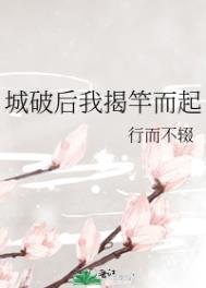 城破后我揭竿而起番外