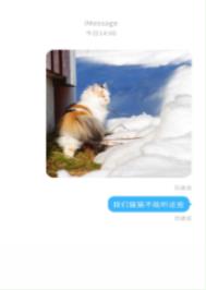 我们猫猫不能听这些txt