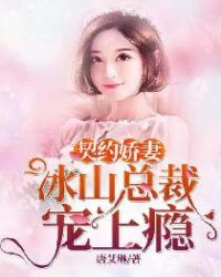 闪婚总裁契约娇妻的小说