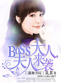 boss夫人又打人了小说免费听