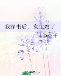 女主弯了网盘