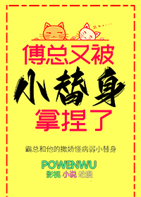 傅总又被小替身拿捏了格格党