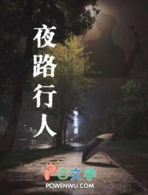 夜晚路上行人走路视频