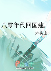 八零年代回国建厂 作者:木头山