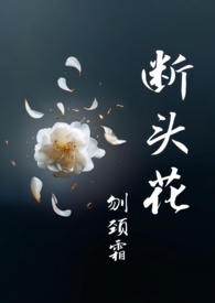 山茶花暗示的什么意思