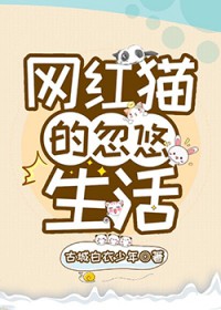 网红猫猫身世