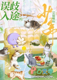 误入歧途的少年是猫咪啊21