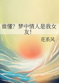 梦中情人是什么歌