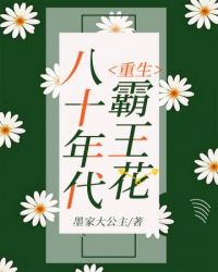 重生八十年代霸王花姐妹小说